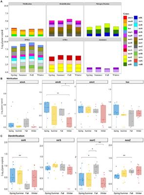 Seasonal changes in N-cycling functional genes in sediments and their influencing factors in a typical eutrophic shallow lake, China